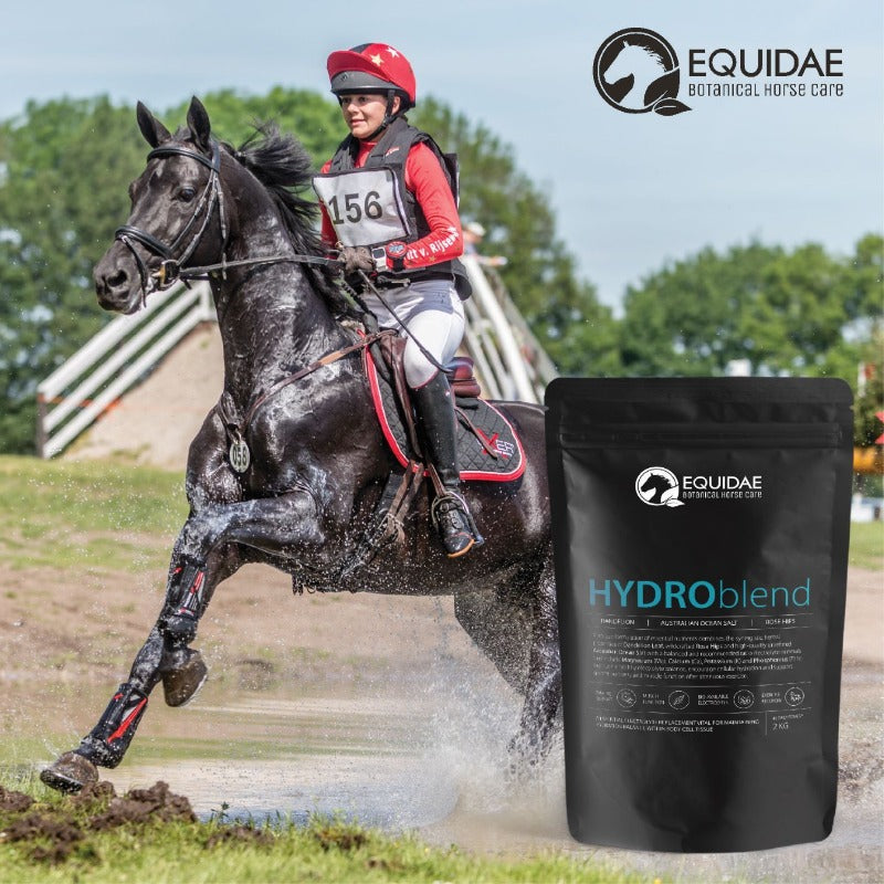 HYDROblend - Electrolytes for Horses